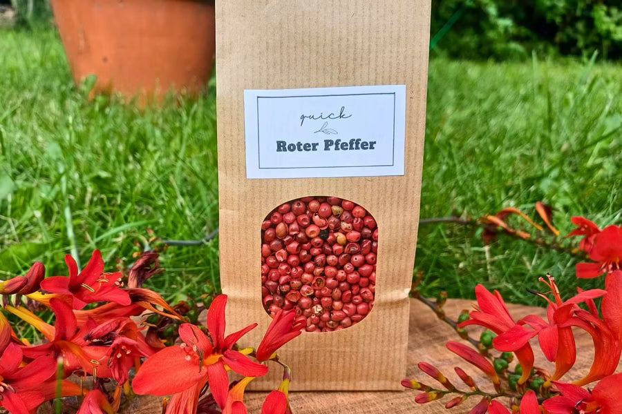 Pfeffer rot ganz (rosa Beeren)