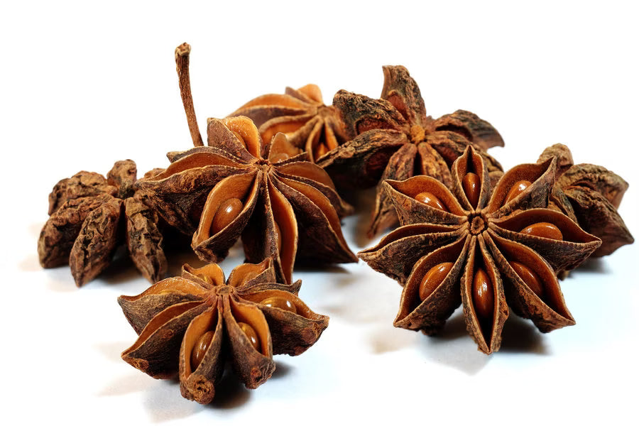 Sternanis